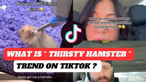 thirsty hamster trend|urban dictionary thirsty hamster.